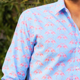 Flamin' Go Go Mens' Organic Cotton Shirt in Blue & Pink